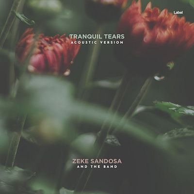 Pre Made Album Cover Cabbage Pont