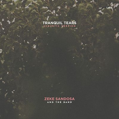 Pre Made Album Cover Fuscous Gray