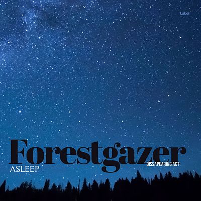 Pre Made Album Cover Blumine