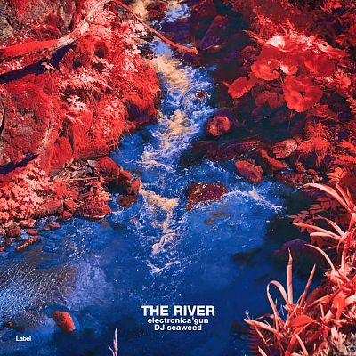 Pre Made Album Cover Martinique