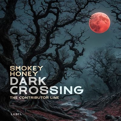 Pre Made Album Cover Outer Space