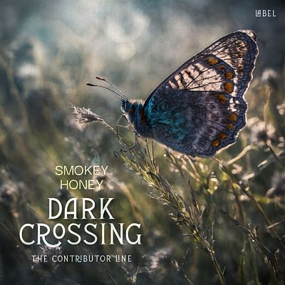 Pre Made Album Cover Kelp