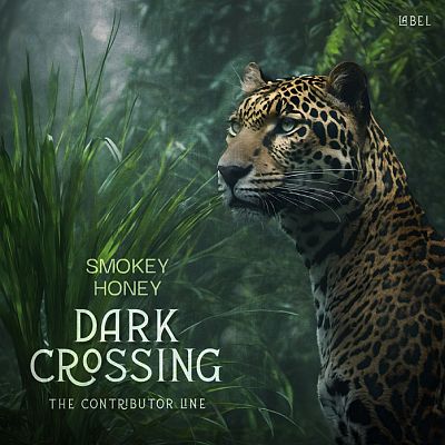 Pre Made Album Cover Heavy Metal