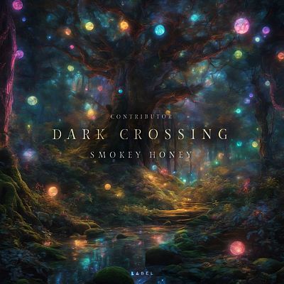 Pre Made Album Cover Outer Space