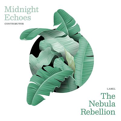 Pre Made Album Cover Patina