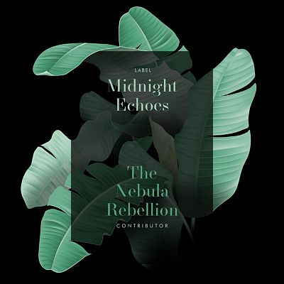 Pre Made Album Cover Acapulco