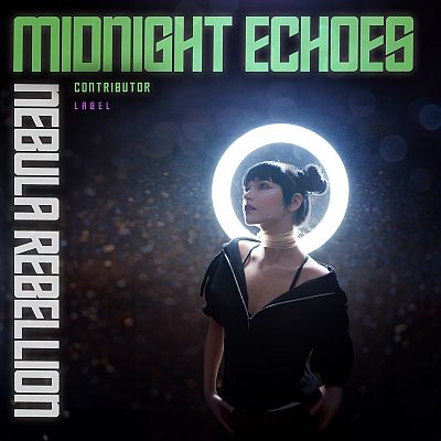 Pre Made Album Cover Steel Gray