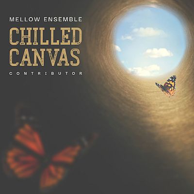 Pre Made Album Cover Armadillo