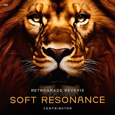 Pre Made Album Cover Raw Sienna