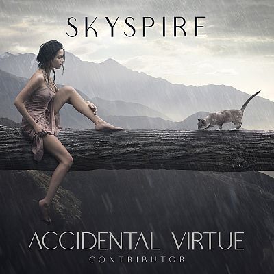 Pre Made Album Cover Quill Gray