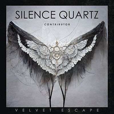 Pre Made Album Cover Manatee