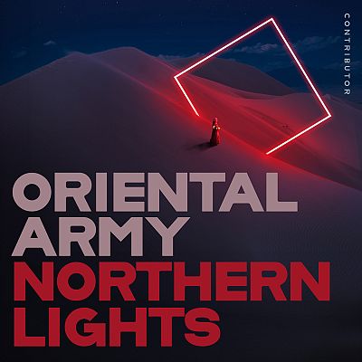 Pre Made Album Cover Bleached Cedar