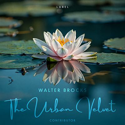 Pre Made Album Cover Te Papa Green