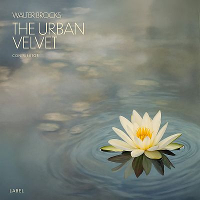 Pre Made Album Cover Xanadu