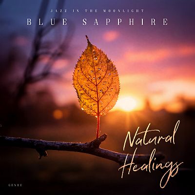 Pre Made Album Cover Apricot