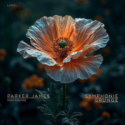 Pre Made Album Cover Outer Space