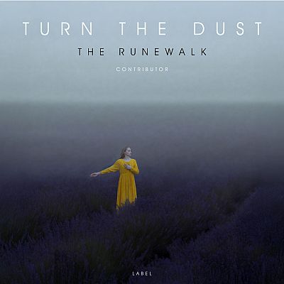 Pre Made Album Cover Charade