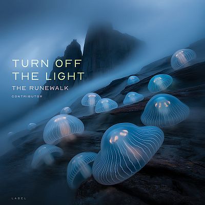 Pre Made Album Cover Big Stone