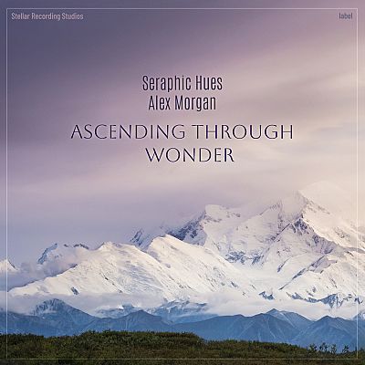 Pre Made Album Cover Pink Swan