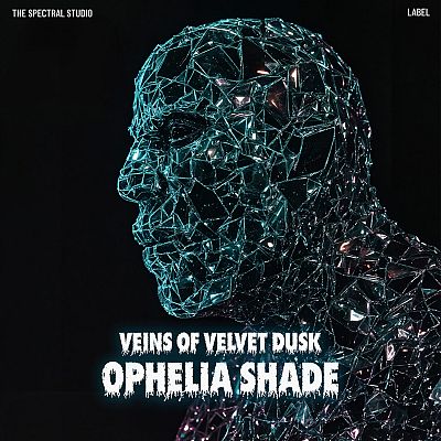 Pre Made Album Cover Bunker