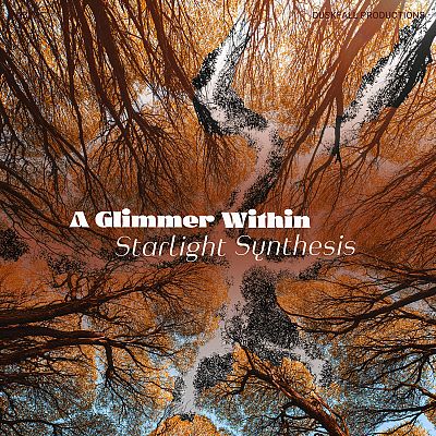 Pre Made Album Cover Old Copper