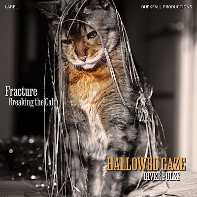 Pre Made Album Cover Dune