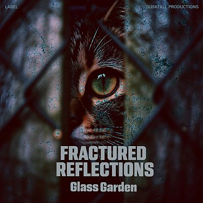 Pre Made Album Cover Thunder