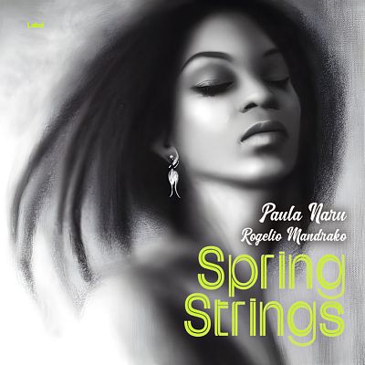 Pre Made Album Cover Ship Gray