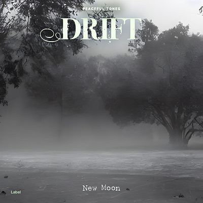 Pre Made Album Cover Scarpa Flow