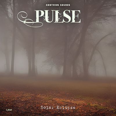 Pre Made Album Cover Pine Cone