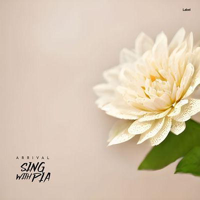 Pre Made Album Cover Bone