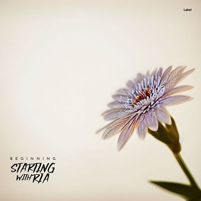 Pre Made Album Cover Pearl Bush