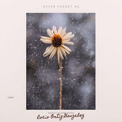 Pre Made Album Cover Gravel