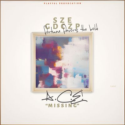 Pre Made Album Cover Pampas