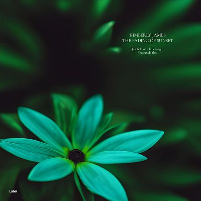 Pre Made Album Cover Racing Green