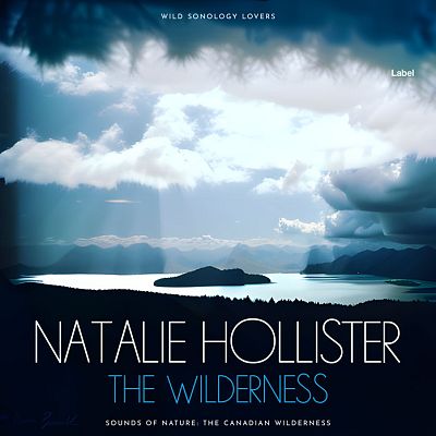 Pre Made Album Cover Firefly