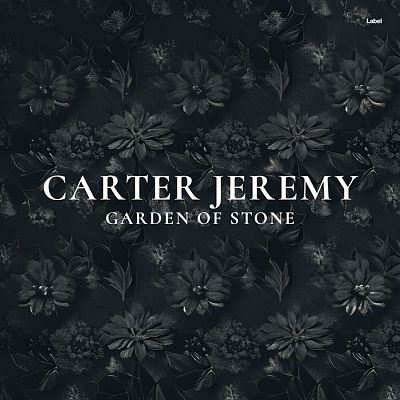 Pre Made Album Cover Shark