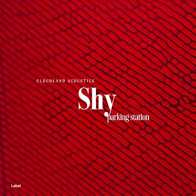 Pre Made Album Cover Scarlett