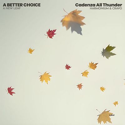 Pre Made Album Cover Moon Mist