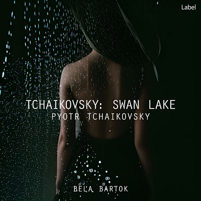 Pre Made Album Cover Marshland