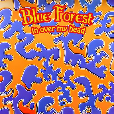 Pre Made Album Cover Indigo