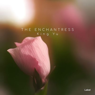 Pre Made Album Cover Black Marlin