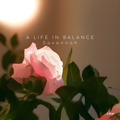 Pre Made Album Cover Yellow Metal