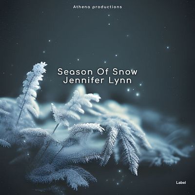 Pre Made Album Cover Limed Spruce