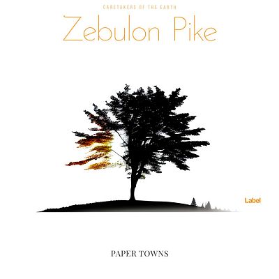 Pre Made Album Cover Cod Gray