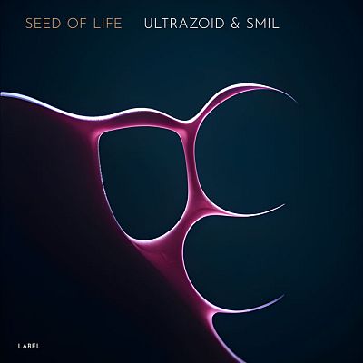 Pre Made Album Cover Firefly