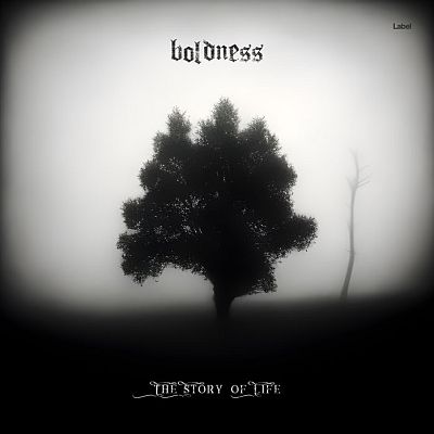 Pre Made Album Cover Quill Gray