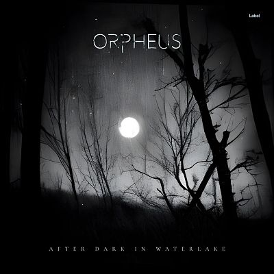 Pre Made Album Cover Cod Gray