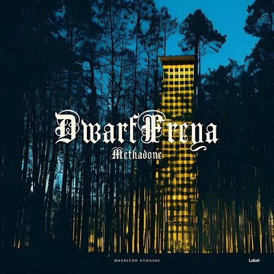 Pre Made Album Cover Firefly