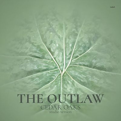 Pre Made Album Cover Envy